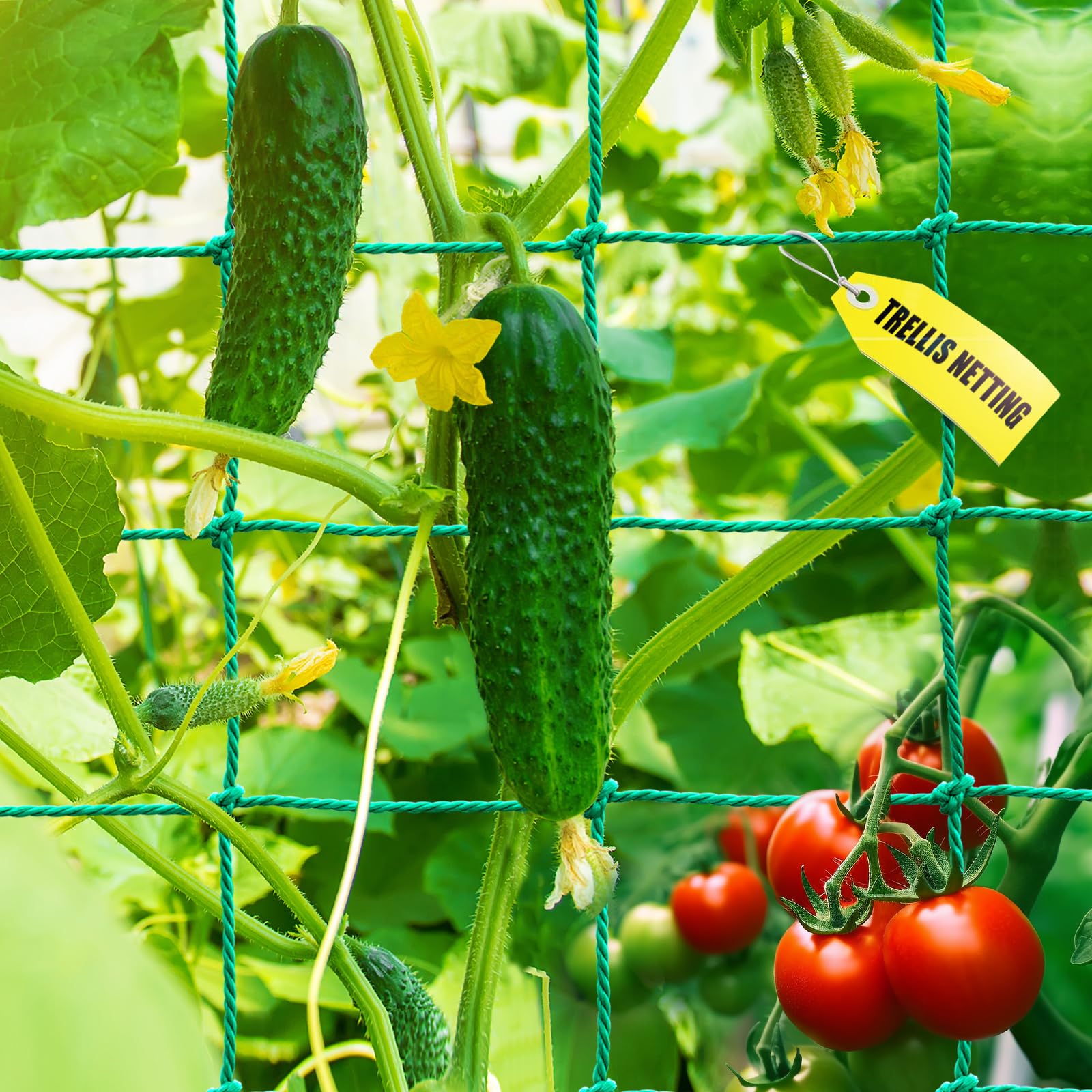 HASTHIP® 2 Pcs Trellis Netting HASTHIP® 2 Pcs Trellis Netting